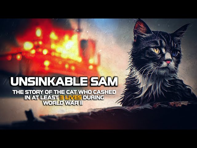 Unsinkable Sam The Story Of The Cat Who Cashed In At Least 3 Lives During WWII - Short Documentary