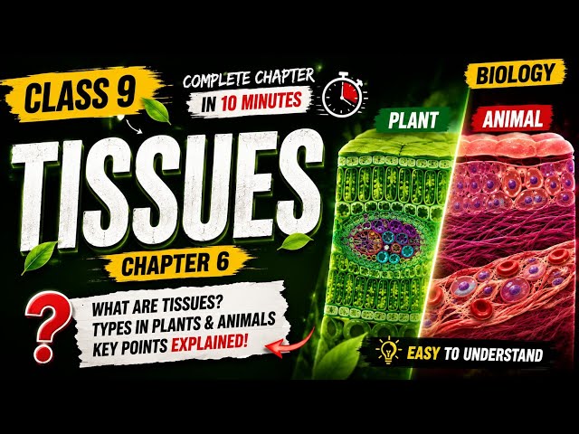 Class 9 Science Chapter 6 Tissues | Tissues Full Chapter in 10 Minutes 🔥 | NCERT Class 9 Biology