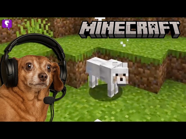 Minecraft with FlappyGamer102 on HobbyFamilyTV