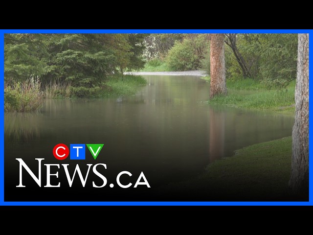 Rainfall warning lifted for Calgary | CTV News Calgary Noon Update for June 2, 2026