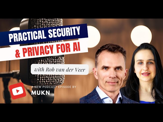 Practical Security & Privacy for AI with Rob Van Der Veer