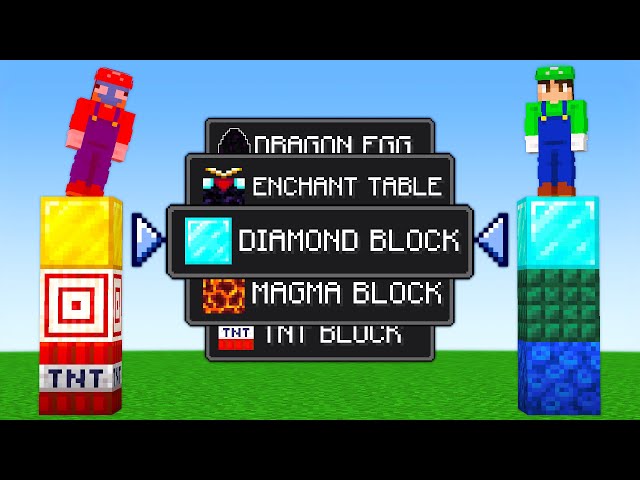 Minecraft Block Shuffle...