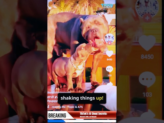 TikTok's AI Cloud Secrets: Microsoft, Nvidia, and Malaysia!