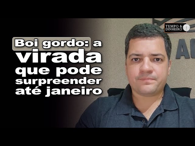 Fat cattle: what to expect in the coming weeks until the beginning of January: Hyberville Neto co...