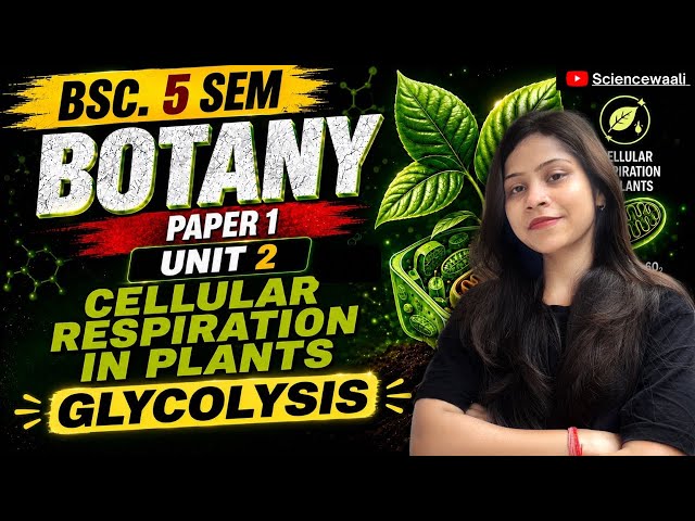 Cellular Respiration | Carbon Oxidation BSc 5th Semester Botany Paper 1 Unit 2 💯🔥 Complete Lecture