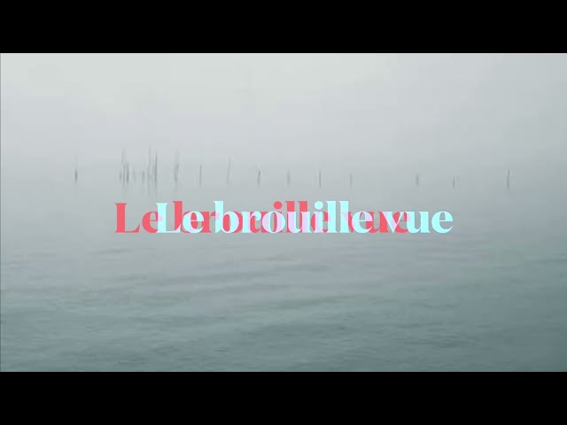 Le Brouille-Vue