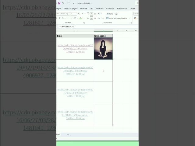 Inserting Images into Excel Using the IMAGE Formula