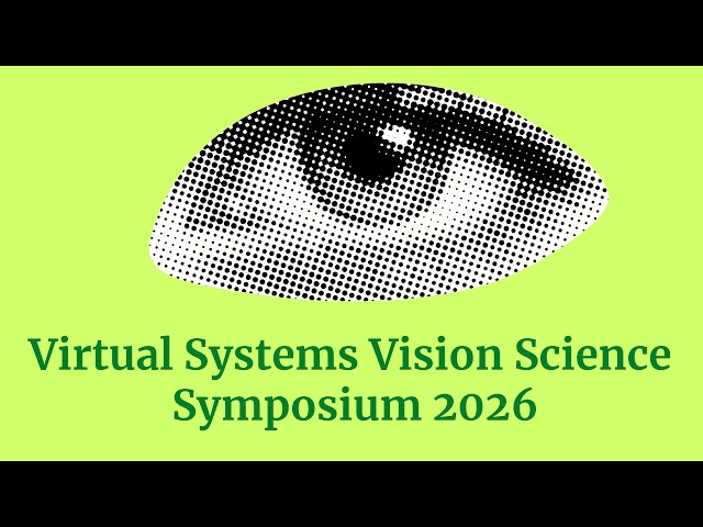 Anatomical evidence for the looking-and-seeing framework of vision