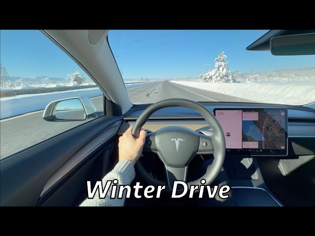 Tesla Model 3 2021 LR AWD Winter Range and Consumption