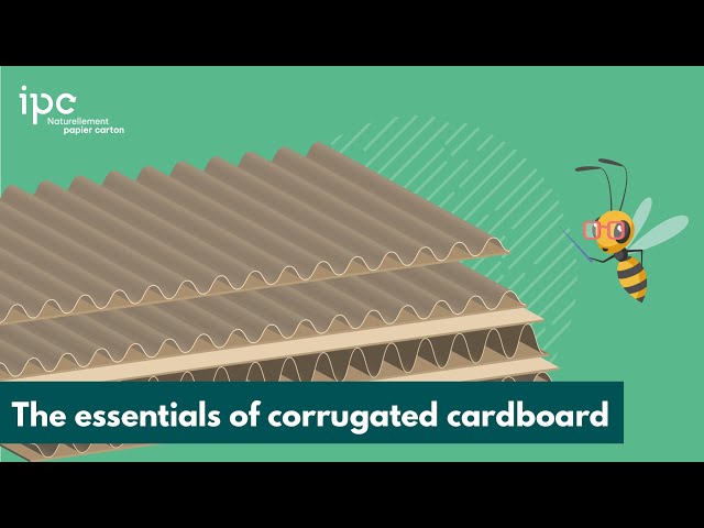 CORRUGATED CARDBOARD 📦 Specifics and Manufacturing