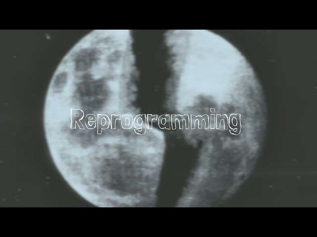 Works Even If Your Mind Is Trying To Block It (Forced Subconscious Overwrite)