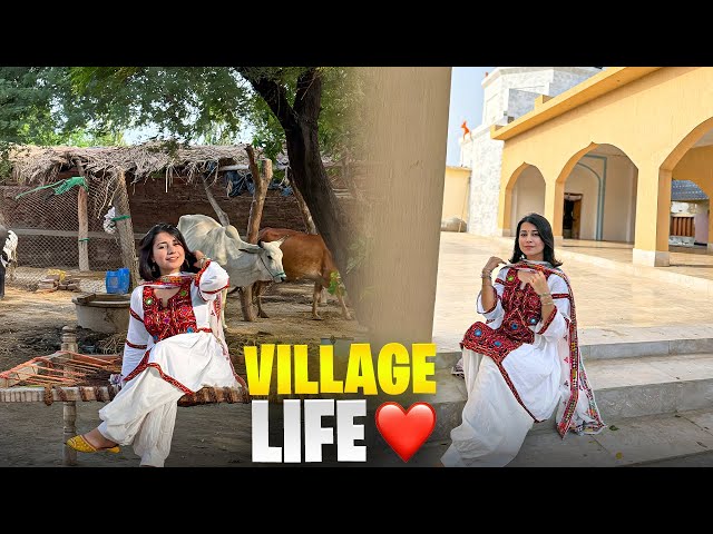 Sindhi Village Life 🇵🇰 | A Day in Malhan, Matli Sindh📍