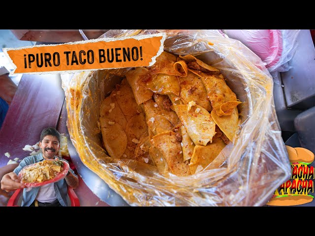 The most TACO CITY in COLIMA? | The pampering garnacha