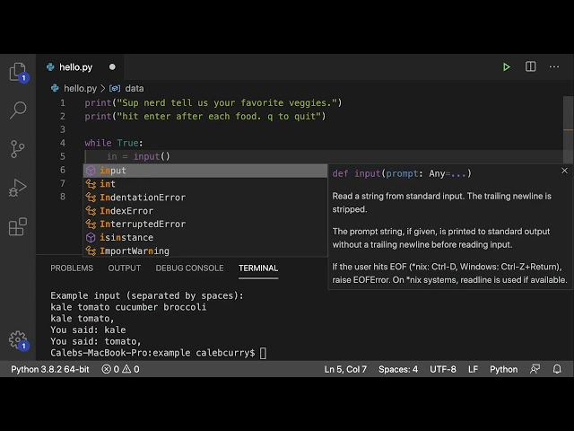 Python Programming 38   Loop to Fill List From User Input