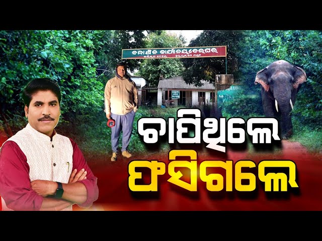 Prasnakala : ଚାପିଥିଲେ ଫସିଗଲେ | Forest Department | Argus News