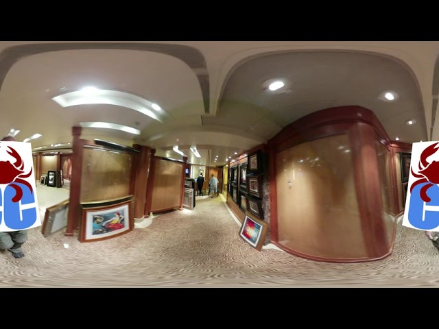 Caribbean Princess Deck 5 Starboard Side Walkthrough in 360