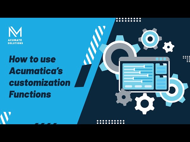 How to use Acumatica's customization functions
