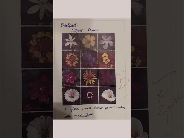 Practical no 10 class 9-10 computer HTML #shorts #writing