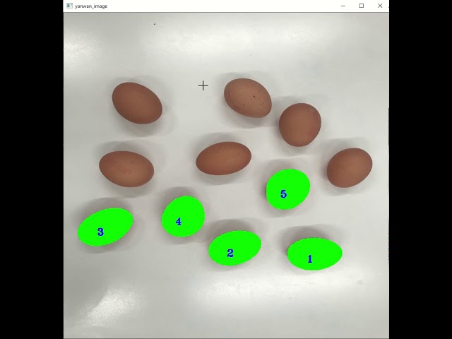 Use OpenCV to count eggs