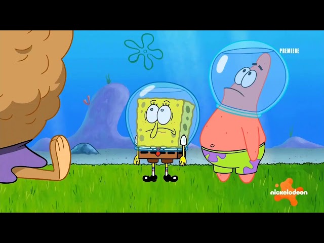 Sandy Cheeks Fat