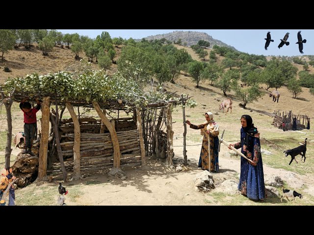 Vida nómada: La supervivencia de las niñas nómadas | Construyendo un refugio seguro para niñas nómad
