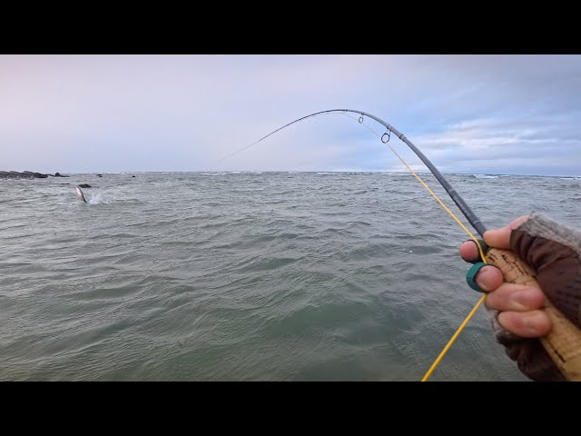 Fishing Sunrise to Sunset in Hopes of a Big Fish