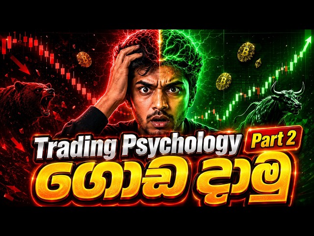 Trading Psychology Sinhala | Profitable Trader Tutorial Lesson 05