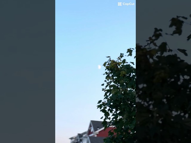 Unstoppable Self-Development Strategies (that ACTUALLY work)