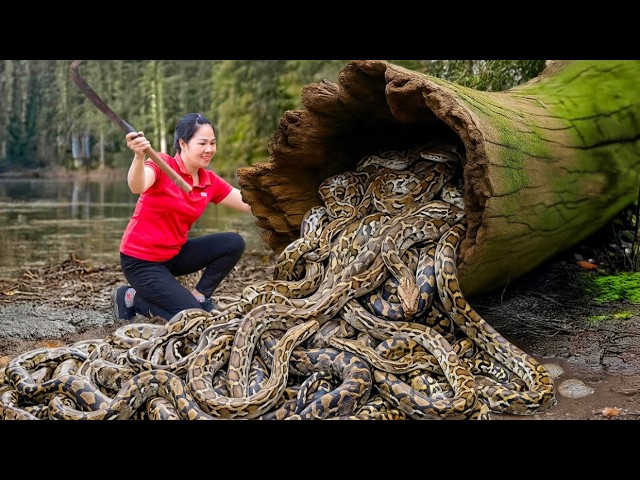 Harvesting Python Leviathan & Go to Market Sell | Millions of Monster Serpents Hidden Inside Log