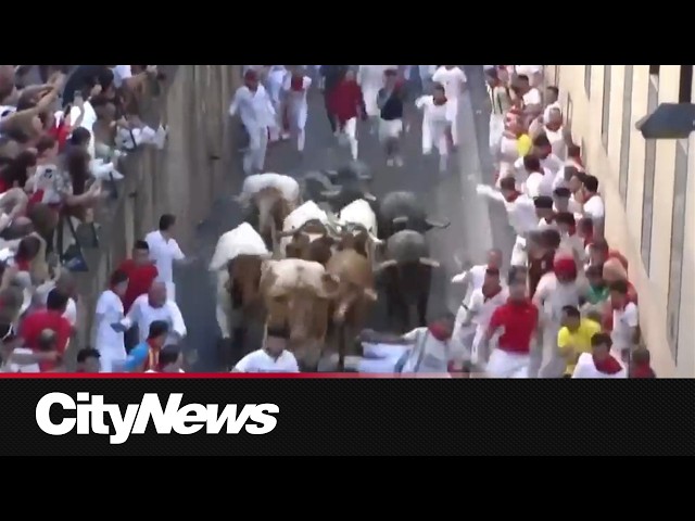Spain's bull run festival leaves more than a dozen injured
