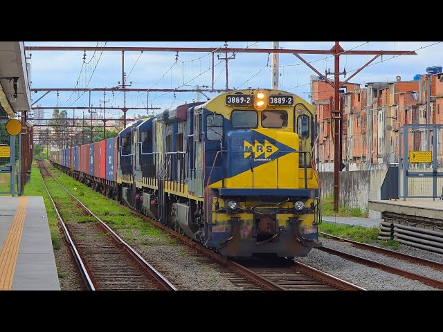 MRS - Trio de C36-7 #3889-2, #3870-1 e #3890-6 Container Expresso (BDU81) em Utinga - SP.