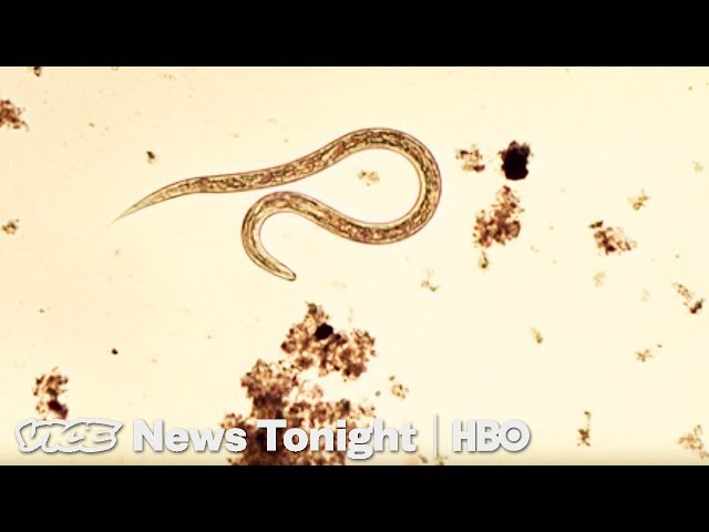 Sewage Parasites & Jail Vapes: VICE News Tonight Full Episode (HBO)