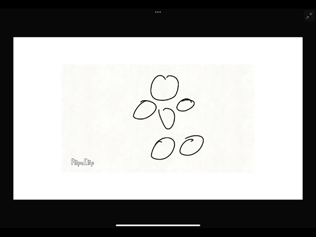 A premier for whatever down episode one