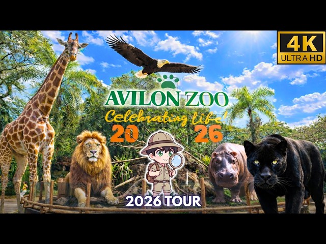 The LARGEST Zoo Near Manila! 🦁 AVILON ZOO 2026 Full Tour + Fun Facts [4K HDR]