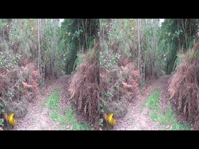 jm3D - Automne en Bretagne - HD 3D - 1080p
