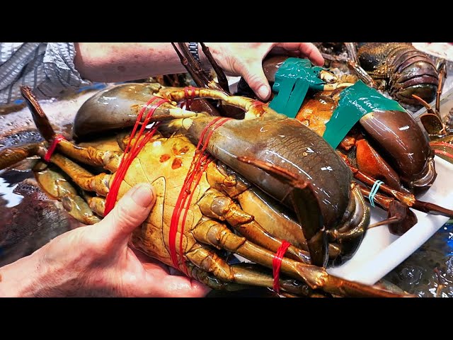 Comida callejera Japonesa - CANGREJOS DE LODO GIGANTES cocinados de dos maneras Okinawa Japón