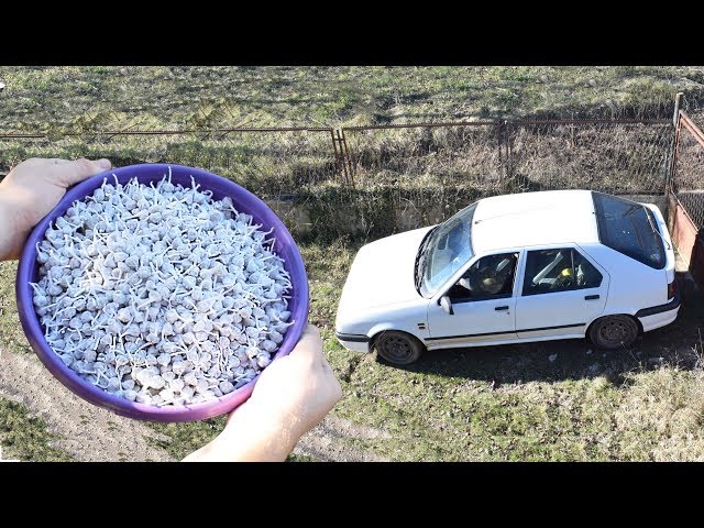 EXPERIMENT 10000 SNAPPERS FIRECRACKERS vs CAR