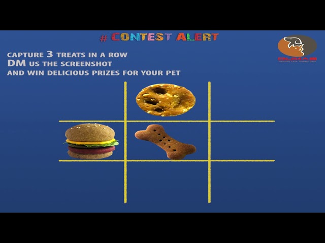 play n win