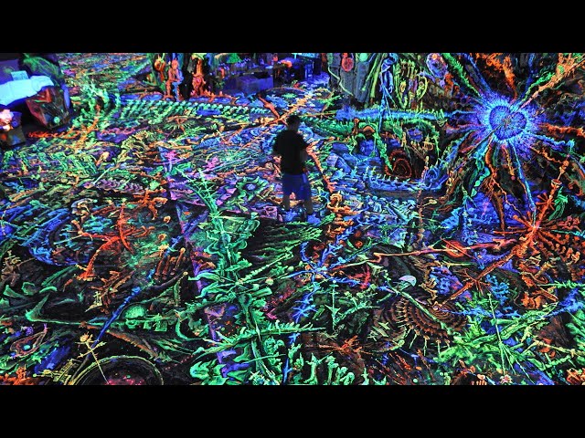 Timelapse of David Pflugi's art studio, 2017-2019 (perspective 1)