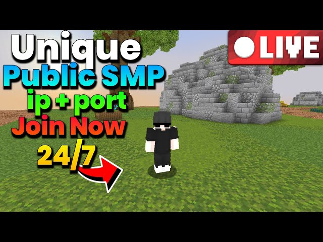 Let's play on this Brand NEW Public Minecraft Server