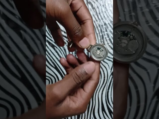Tutorial guide for simple glimpse of the inside