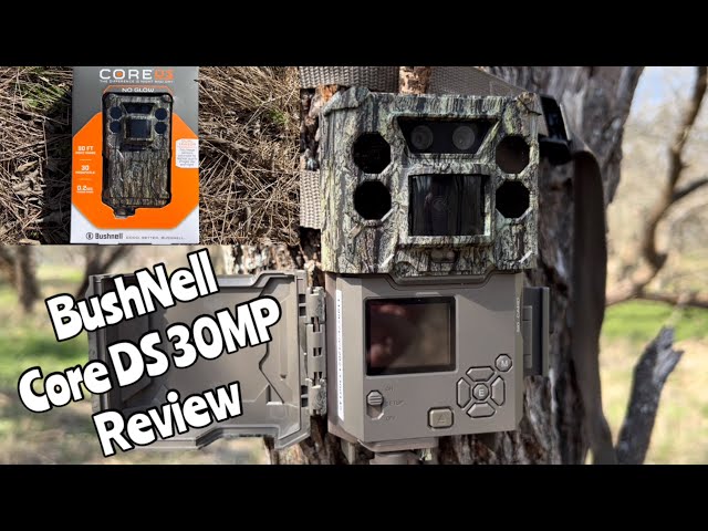 BushNell Core DS 30MP Trail Camera Review: Feb. 15- July 5, 2023