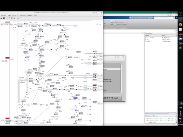 CNA Tutorial 1: start CNA, load a project, flux analysis