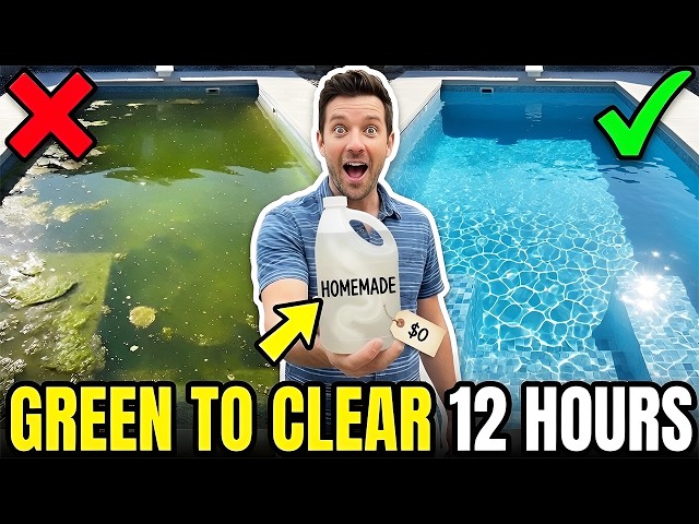 The EASIEST Way To Get Rid of Green Pool Water in 12 Hours! CHEAP & EASY