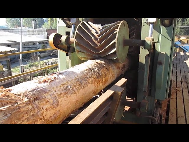 Sawmill/Fastest Workers You Have Never Seen Before/Most Satisfying Factory Machines &Ingenious Tools