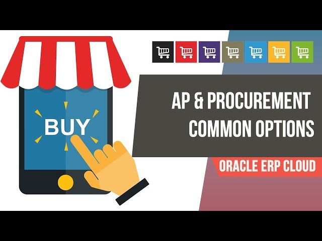 How to Create the Common Options for Payables and Procurement in Oracle Fusion ERP Cloud