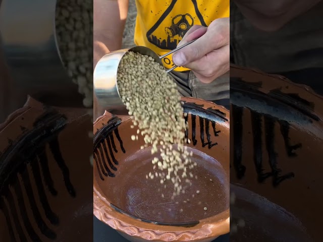Alimento para sobrevivir ☢️ TSAMPA