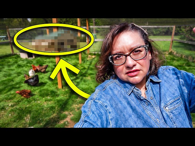 My big ego got in the way, and I made an epic mistake. 😔