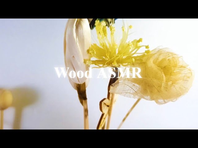 The tree that became the shadow of my heart late at night | ASMR