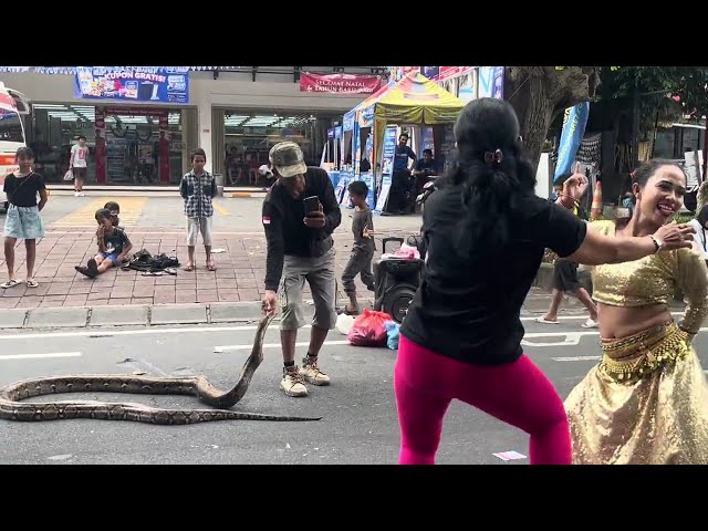 Girl dancing with python snake. #trending #dance #python #video #travel #fyp #viral #fypシ #snake 